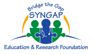Bridge the Gap: SYNGAP