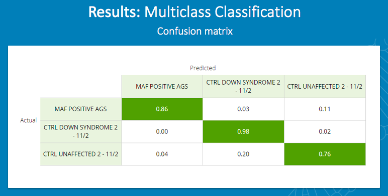 multiclass classification