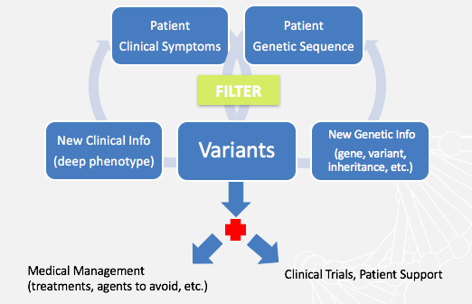 next generation phenotyping variants