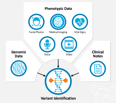 variant identification