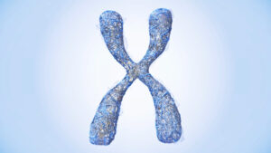 Triple X Syndrome What Parents Need to Know About the 'Super Female' Genetic Disorder